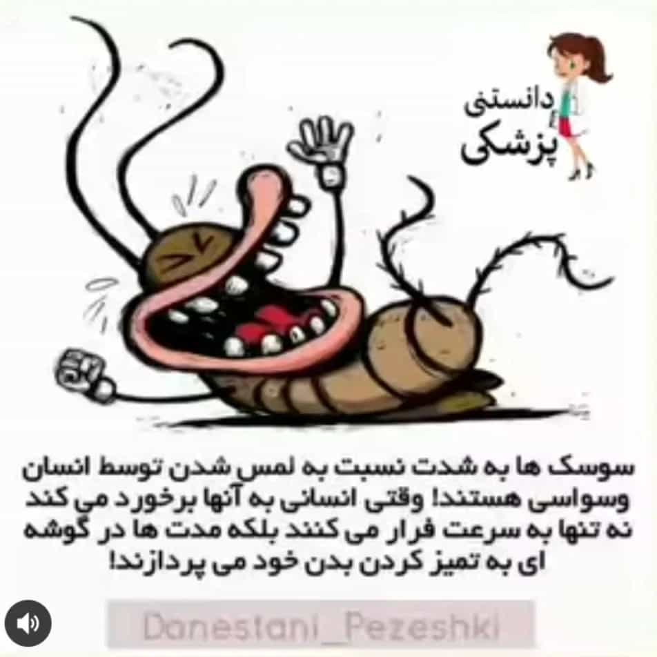 1773652295785.webp