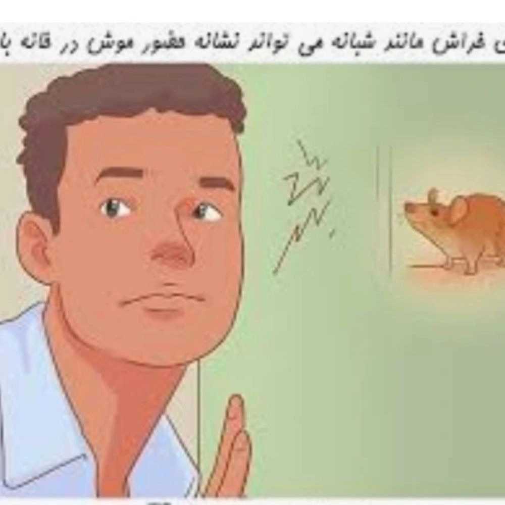 1773652313174.webp