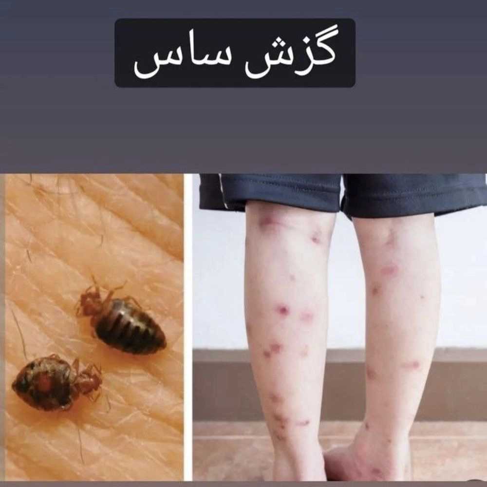 1760441787941.webp